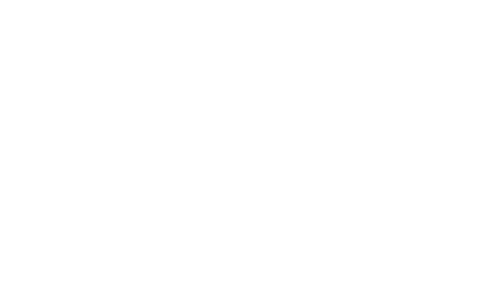 Skovgaard Studio